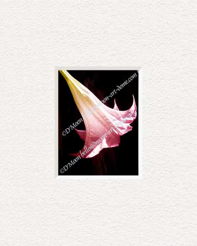 pink bell